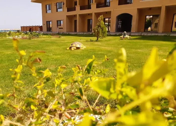 شقة Turtles - Sea View الغردقة
