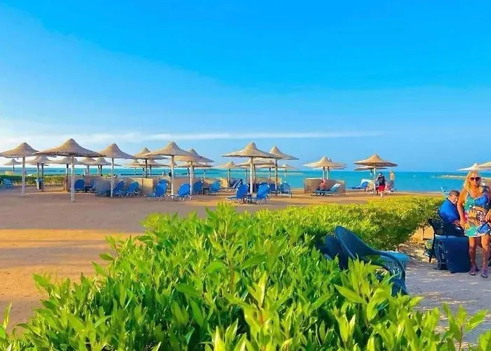 Turtles - Sea View *