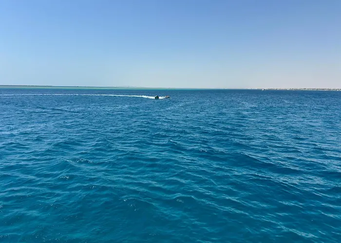 Turtles - Sea View شقة *